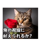 ナルシスト猫のキザな決め台詞（個別スタンプ：19）