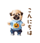 飛び出ておどる癒しわんこハロウィン（個別スタンプ：7）