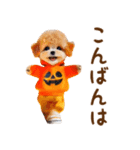 飛び出ておどる癒しわんこハロウィン（個別スタンプ：8）