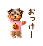 飛び出ておどる癒しわんこハロウィン（個別スタンプ：12）