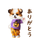 飛び出ておどる癒しわんこハロウィン（個別スタンプ：13）