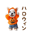 飛び出ておどる癒しわんこハロウィン（個別スタンプ：22）