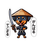 現代語も話す侍犬（個別スタンプ：34）