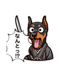 現代語も話す侍犬（個別スタンプ：37）