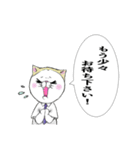 猫さんの可愛いお仕事スタンプ（個別スタンプ：17）