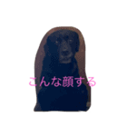 すきなわんわん（個別スタンプ：2）