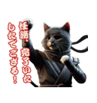 忍者猫の冒険！（個別スタンプ：3）