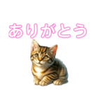 毎日使える子猫ちゃん can use every day（個別スタンプ：1）