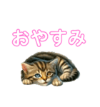 毎日使える子猫ちゃん can use every day（個別スタンプ：3）