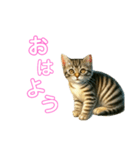 毎日使える子猫ちゃん can use every day（個別スタンプ：4）