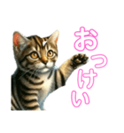 毎日使える子猫ちゃん can use every day（個別スタンプ：5）