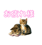毎日使える子猫ちゃん can use every day（個別スタンプ：8）