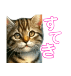 毎日使える子猫ちゃん can use every day（個別スタンプ：11）