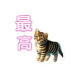 毎日使える子猫ちゃん can use every day（個別スタンプ：13）