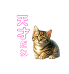 毎日使える子猫ちゃん can use every day（個別スタンプ：14）