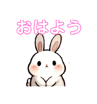毎日使える うさぎちゃん Rabbit（個別スタンプ：1）