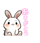 毎日使える うさぎちゃん Rabbit（個別スタンプ：4）