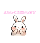 毎日使える うさぎちゃん Rabbit（個別スタンプ：7）