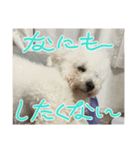 わかば＆おにぎりプリティケダマーズ（個別スタンプ：16）