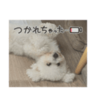 わかば＆おにぎりプリティケダマーズ（個別スタンプ：17）