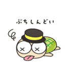 毎日かめくん 広島編（個別スタンプ：31）