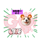 ゴーギ犬LINEスタンプ、yamami（個別スタンプ：3）