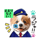 ゴーギ犬LINEスタンプ、yamami（個別スタンプ：4）