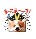 ゴーギ犬LINEスタンプ、yamami（個別スタンプ：8）
