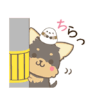 飛び出す！わんことシマエナガ 犬の日2（個別スタンプ：12）