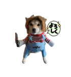 三丸くん（個別スタンプ：24）