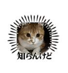 ジジ・まめ・みちくん（個別スタンプ：8）