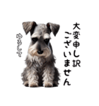 犬のミニチュアシュナウザーです。（個別スタンプ：8）