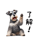 犬のミニチュアシュナウザーです。（個別スタンプ：20）