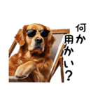 犬のゴールデンレトリバーのスタンプです。（個別スタンプ：1）