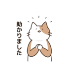 腰が低い敬語のねこ（個別スタンプ：6）