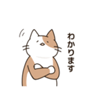 腰が低い敬語のねこ（個別スタンプ：9）