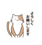 腰が低い敬語のねこ（個別スタンプ：20）