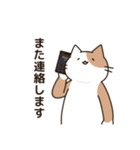 腰が低い敬語のねこ（個別スタンプ：22）