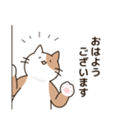 腰が低い敬語のねこ（個別スタンプ：25）