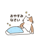 腰が低い敬語のねこ（個別スタンプ：26）