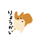 ウチの犬コーギー（個別スタンプ：12）