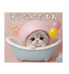 ふうせん帽 スコティッシュ猫の日常 敬語（個別スタンプ：25）