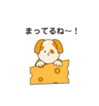 CHEEMAL(日常会話)（個別スタンプ：14）