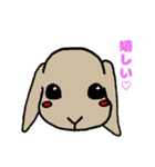 動物ラボ（個別スタンプ：4）