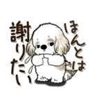 シーズー犬 2024『はっきり言う』（個別スタンプ：36）