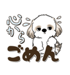 シーズー犬 2024『はっきり言う』（個別スタンプ：39）