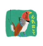 丁寧に生きたい鳥たち（個別スタンプ：1）