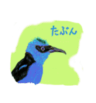丁寧に生きたい鳥たち（個別スタンプ：16）
