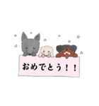 マイマイとジージーとエンちゃんの日常（個別スタンプ：3）