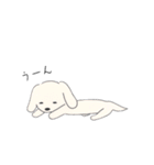 マイマイとジージーとエンちゃんの日常（個別スタンプ：24）